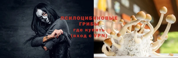 индика Алексеевка