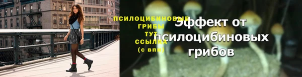 дживик Алзамай