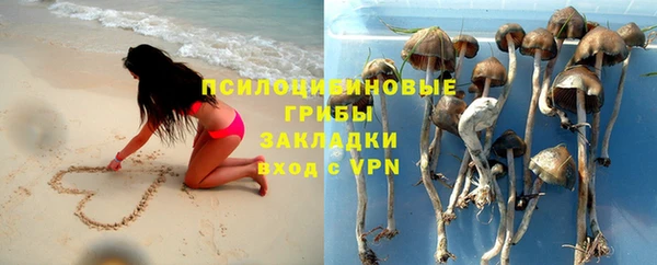 гашиш Пересвет