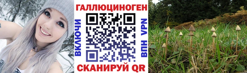 Псилоцибиновые грибы MAGIC MUSHROOMS цены гидра рабочий сайт Ахтырский